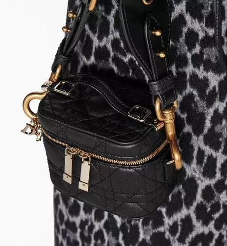 LADY DIOR マイクロ ヴァニティ-3